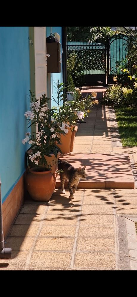 Современный дом с морской панорамой и подогреваемым бассейном в Червенка, Черноморец