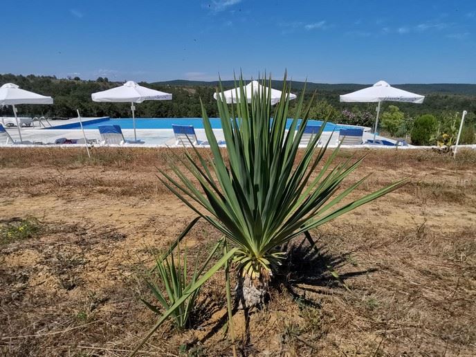 Просторный одноэтажный дом с панорамным видом в эко-комплексе на Балканских горах